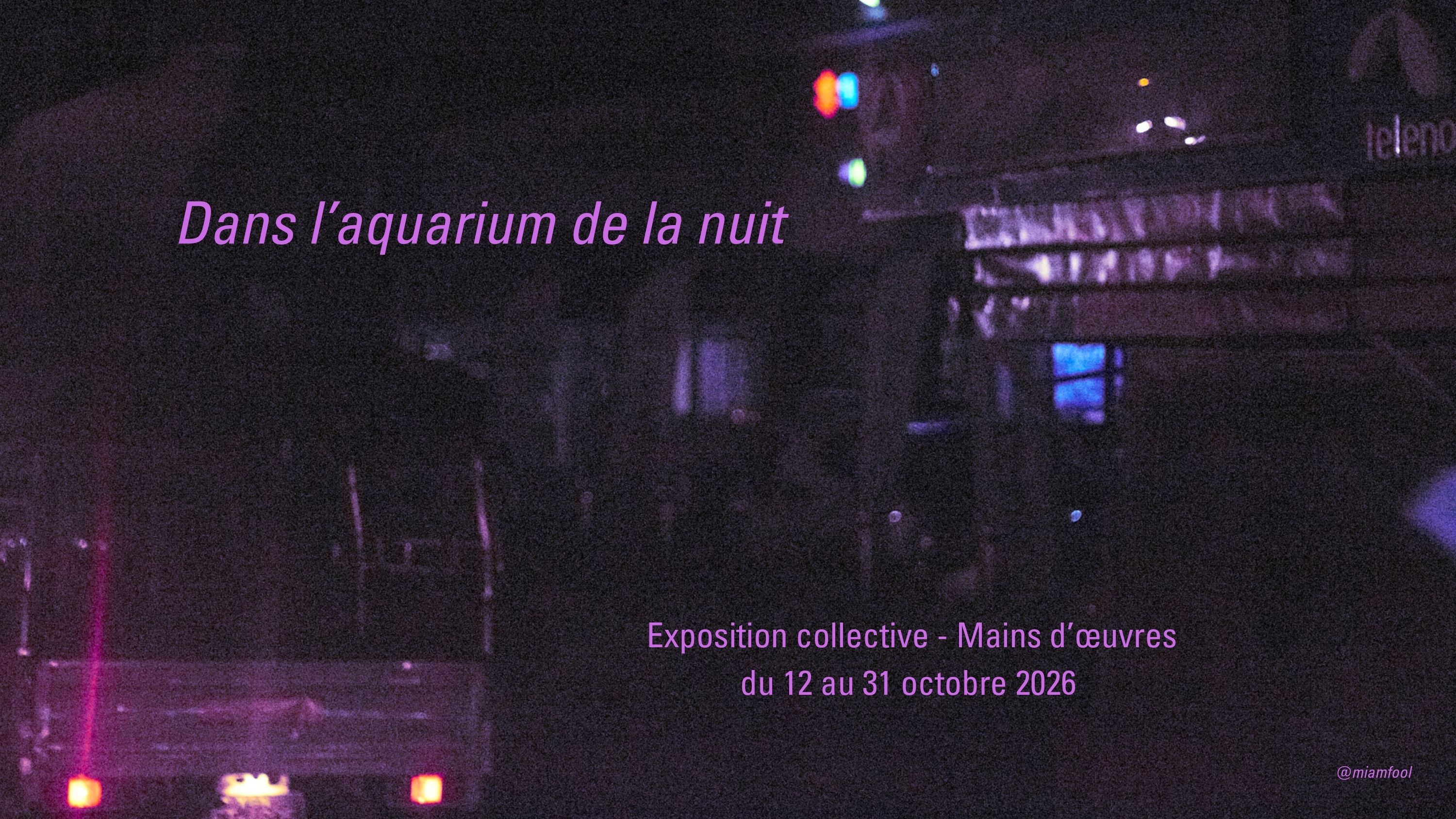 Dans l'aquarium de la nuit