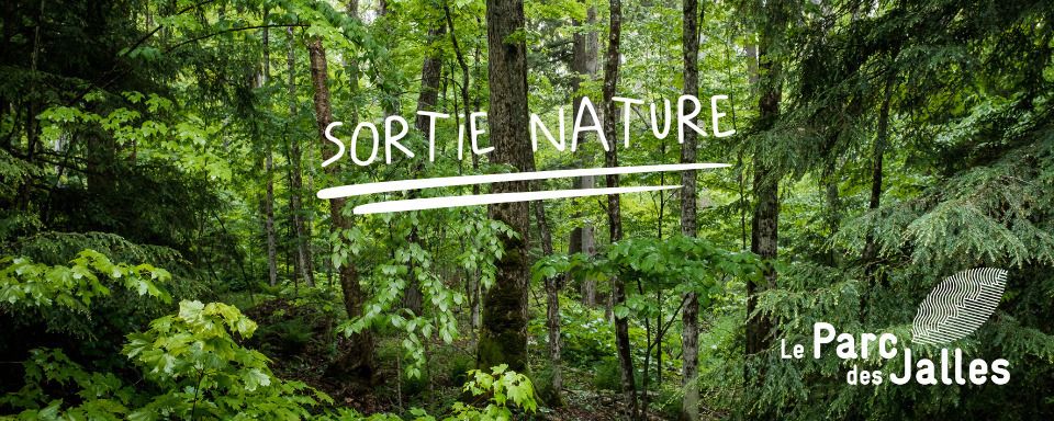 Balade nature du Parc des Jalles : Mais à qui appartient cette belle plume ?