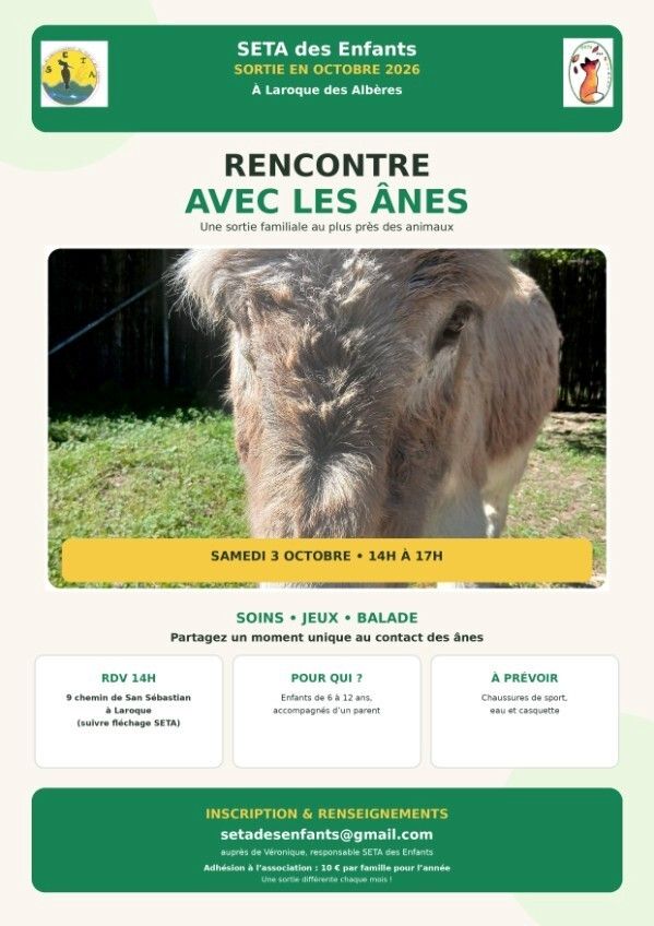 Rencontre avec les ânes - Sortie en famille
