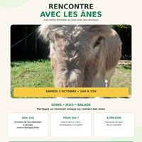 Rencontre avec les ânes - Sortie en famille