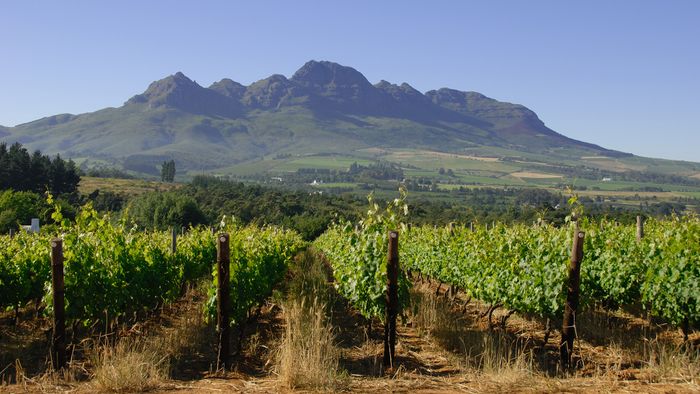Afterwork Afrique du Sud