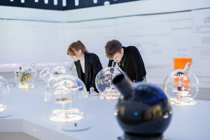 Visite de la Cité des Climats et vins de Bourgogne de Mâcon