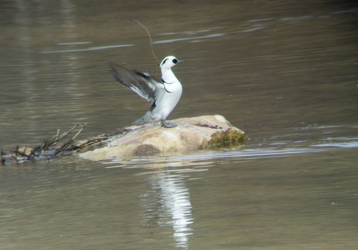 Sortie coorganisée par Île-de-France Nature