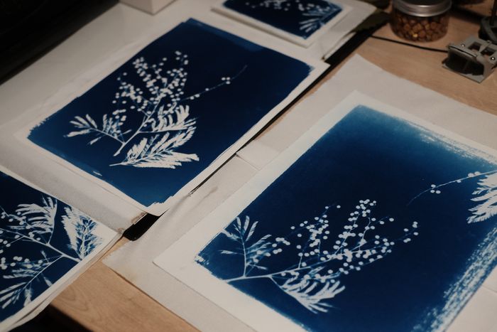 Affiche — Atelier cyanotype