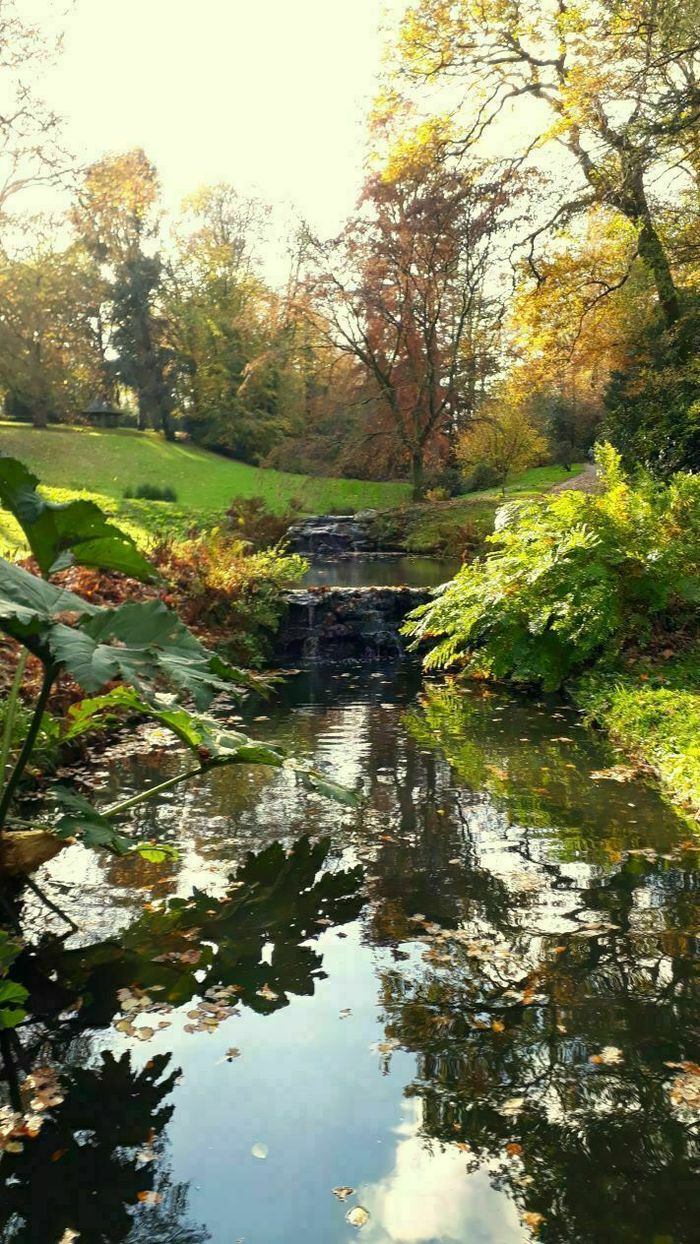 Le parc de la Gaudinière au rythme de l'automne