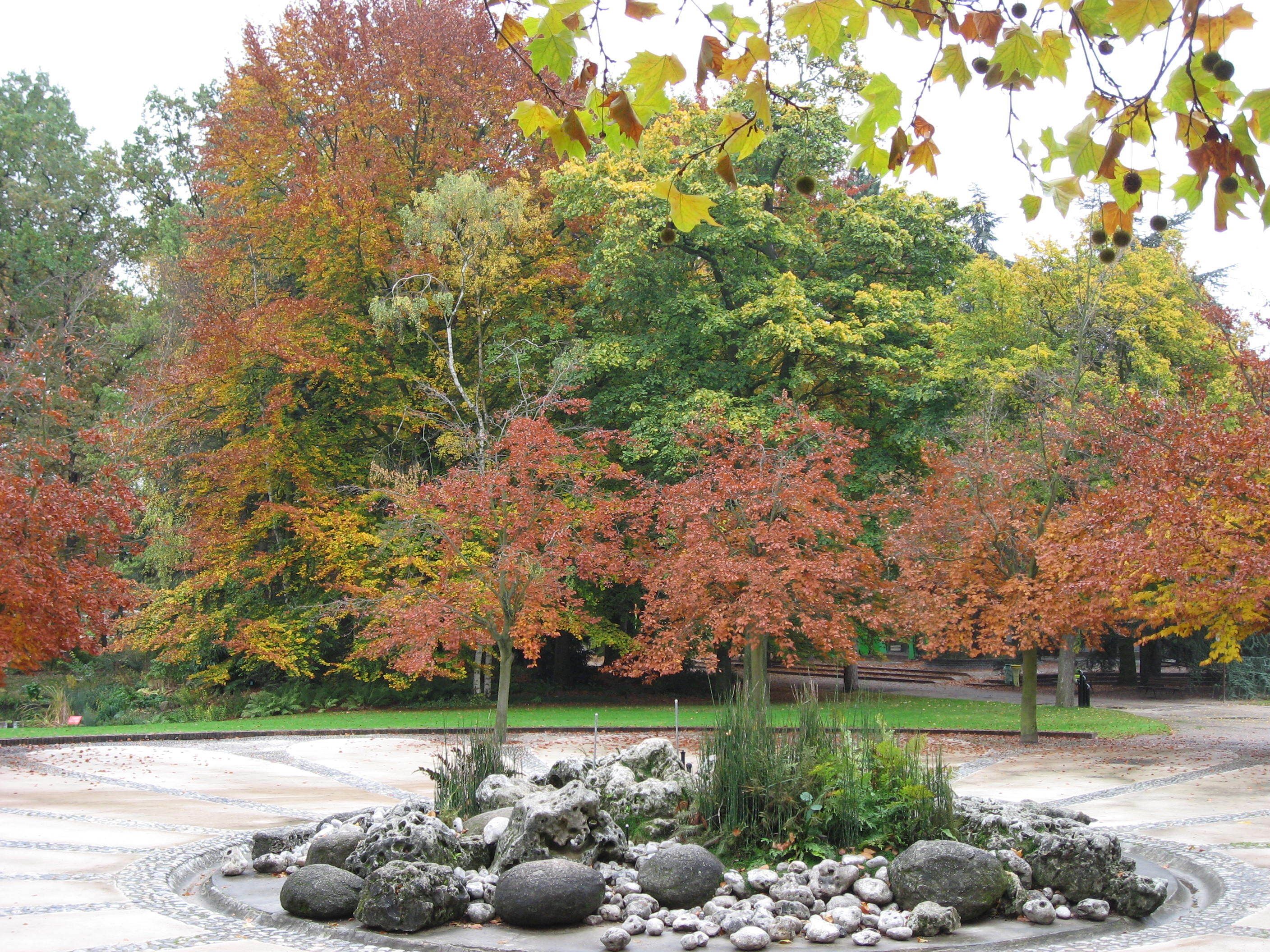Parc floral du Bois de Vincennes