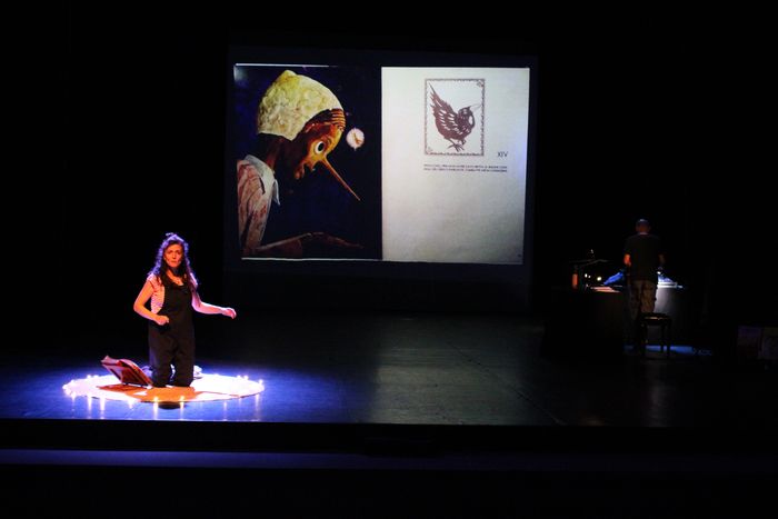 Proposition de spectacle pour le catalogue culturel du Loiret