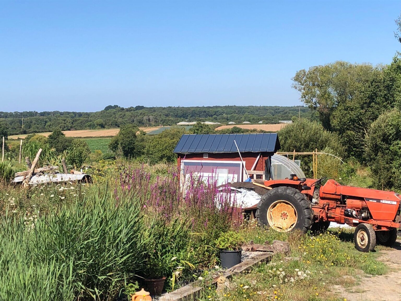 Au cœur d’une micro-ferme