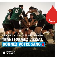 Collecte de Sang // Canohès