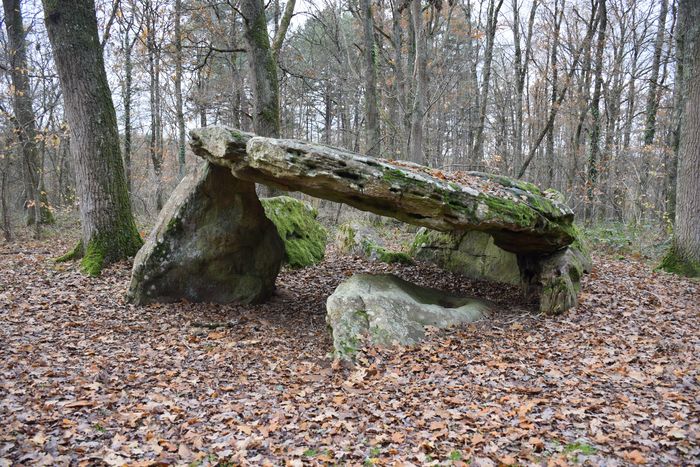 Les Jeudis du Patrimoine : Patrimoine préhistorique de la région Centre-Val de Loire, un patrimoine fragile