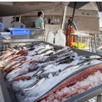 Marché des producteurs et des pêcheurs