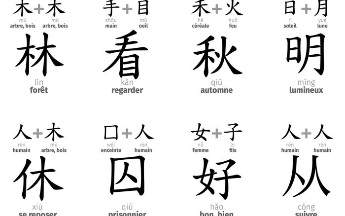 "Je n'y comprends rien… c'est du chinois !"