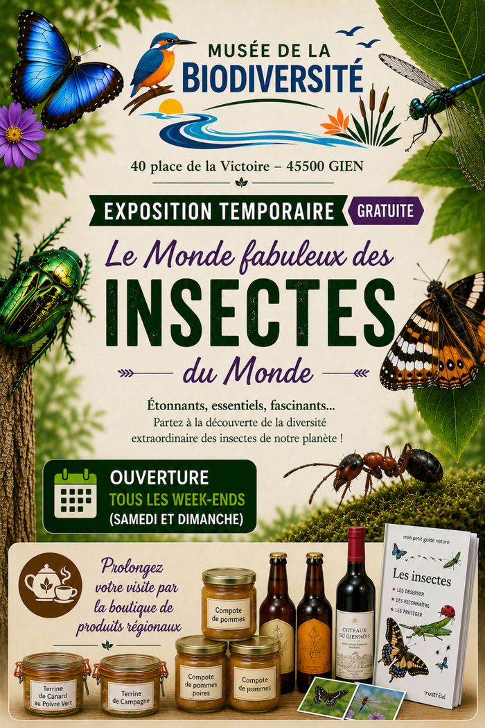 Arrière plan flou de l'image