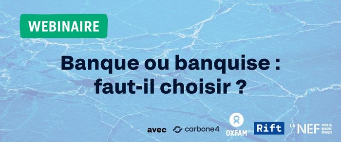 (Webinaire) Banque ou banquise : faut-il choisir ?