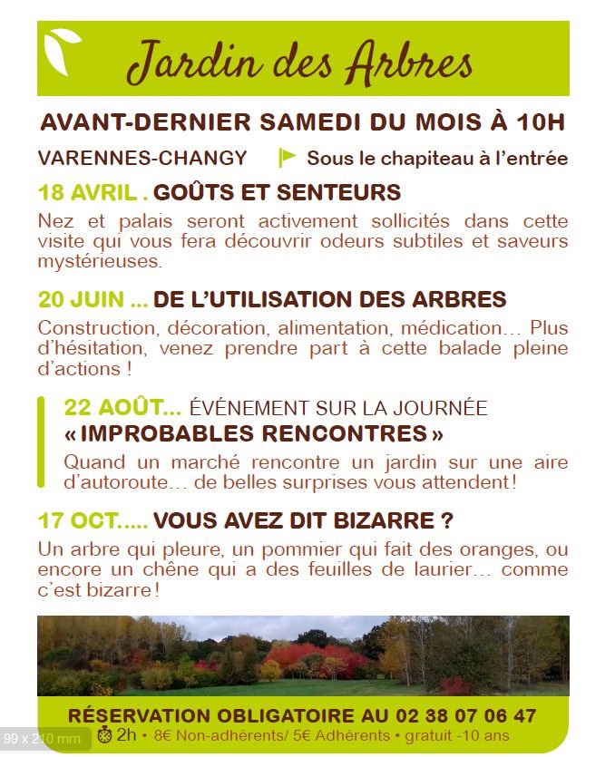 Arrière plan flou de l'image