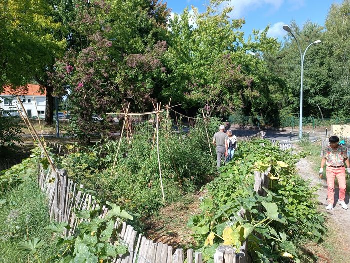 Animation au jardin partagé du Pin Sec, avec ECOS