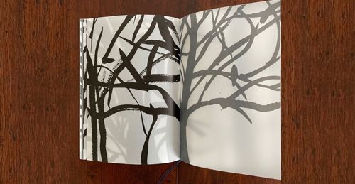 Le livre d'artiste sort de sa réserve, découverte pour un public jeunesse