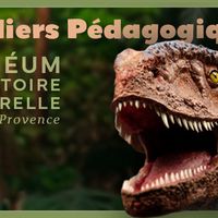 Programme des ateliers pédagogiquesdu Muséum d’Histoire Naturelle d'Aix-en-Provence - été 2026
