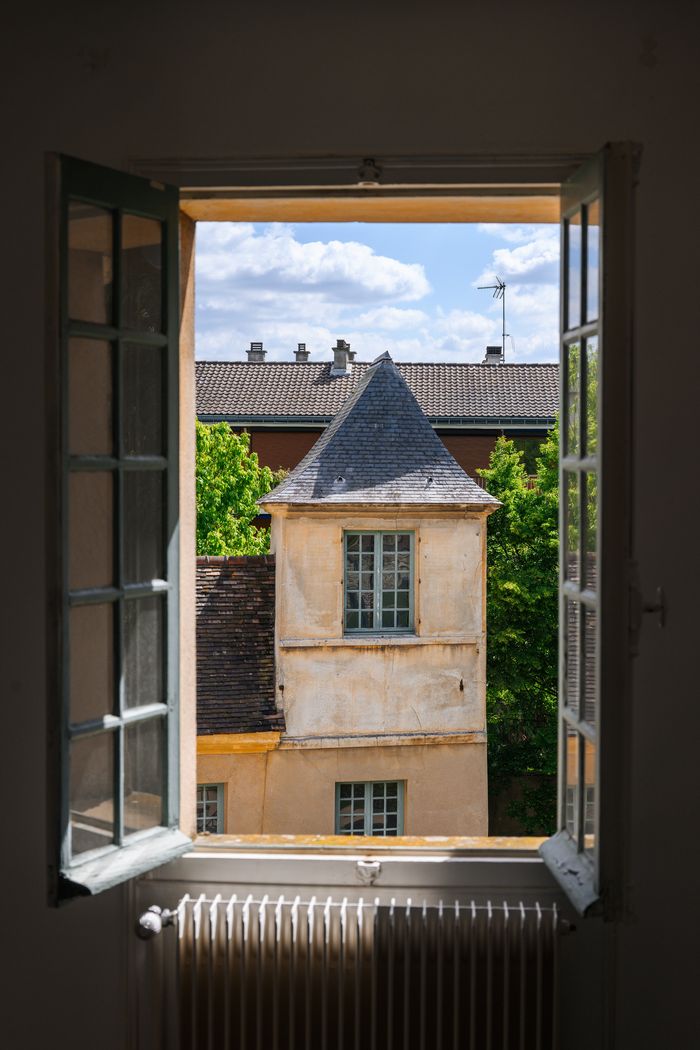 Découvrez les nouvelles acquisitions du musée lors d'une visite