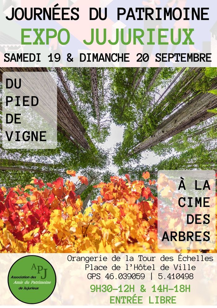 EXPO : Du pied de vigne à la cime des arbres