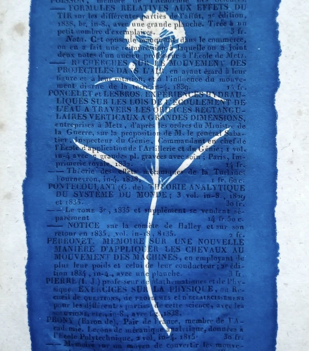 Atelier Cyanotype