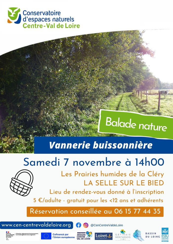 Arrière plan flou de l'image