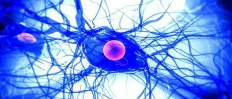 Comprendre les perturbations endocriniennes
