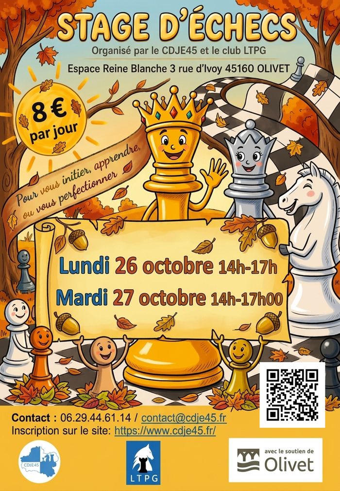 Stage échecs vacances de Toussaint