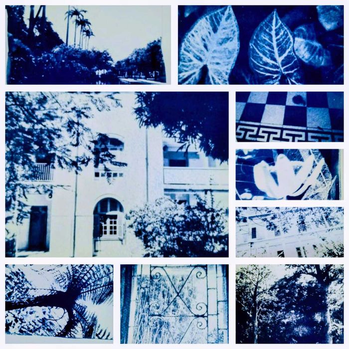 Affiche — Ateliers créatifs cyanotype - « Patrimoine de la photographie »