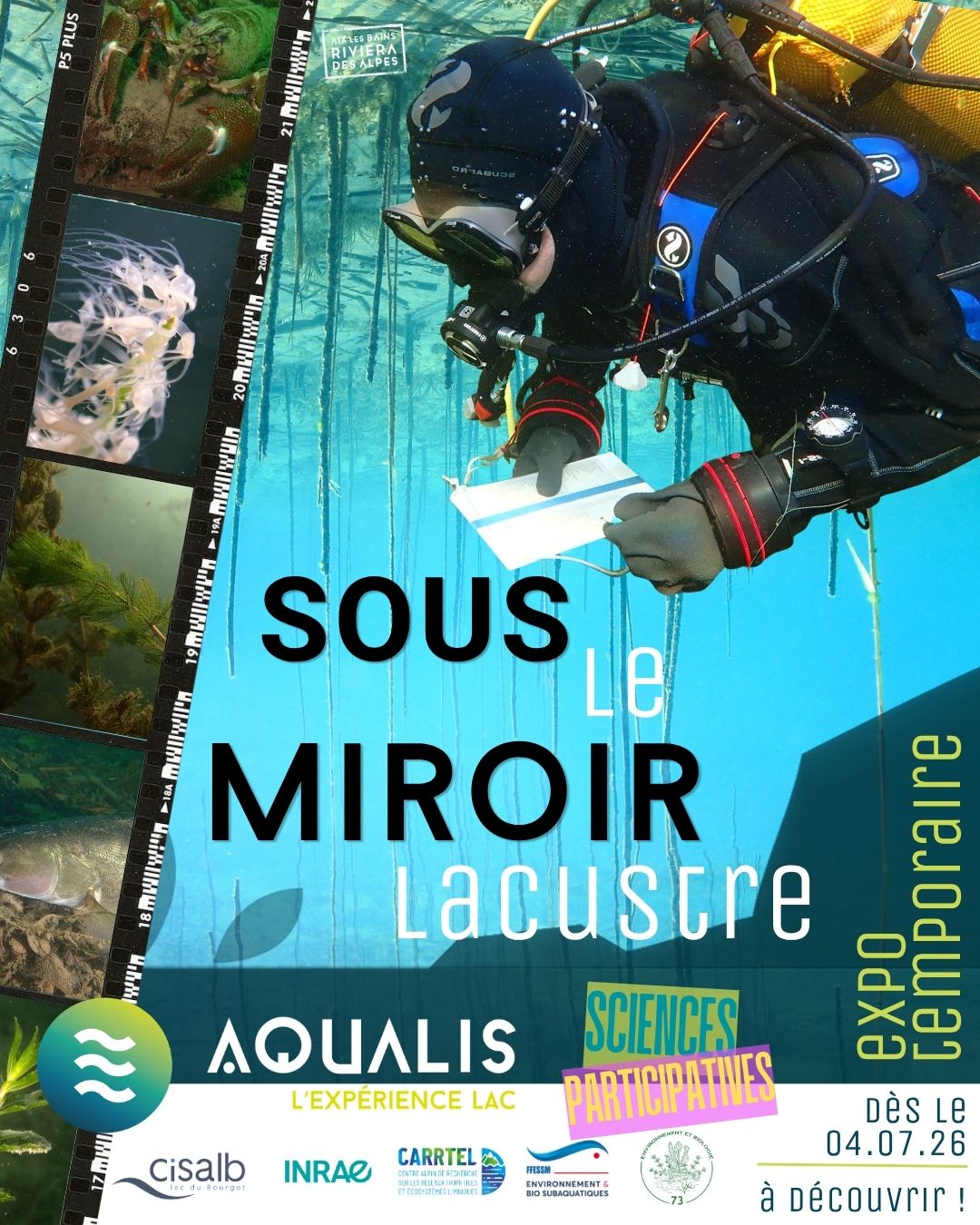 Sous le miroir lacustre