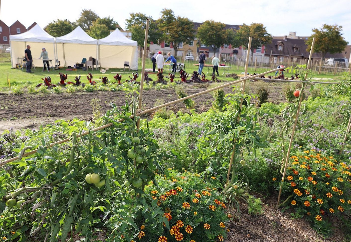 PERMANENCE A LA MICROFERME COMMUNALE POUR L'ENTRAIDE ALIMENTAIRE