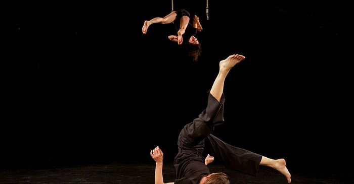 En Haut En Bas - Pilot Fishes - Festival Nijinskid Maxi