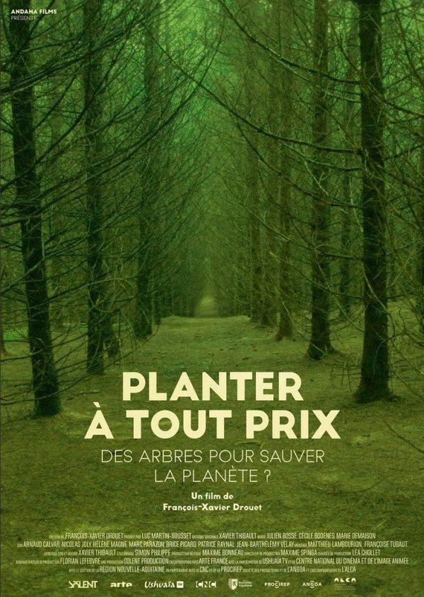 Planter à tout prix Des arbres pour sauver la planète ?
