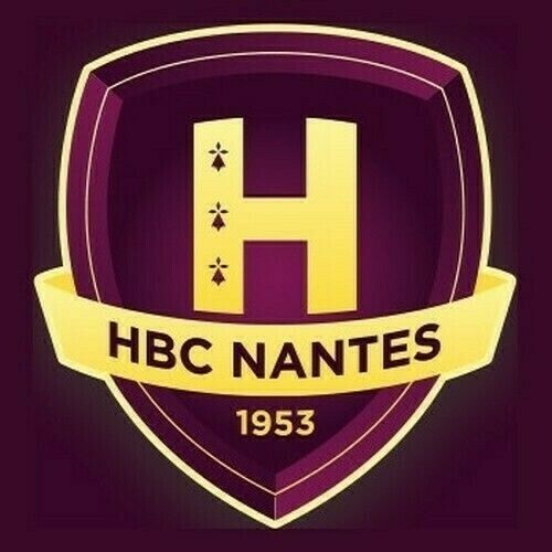 Handball : HBC Nantes / US Ivry Handball