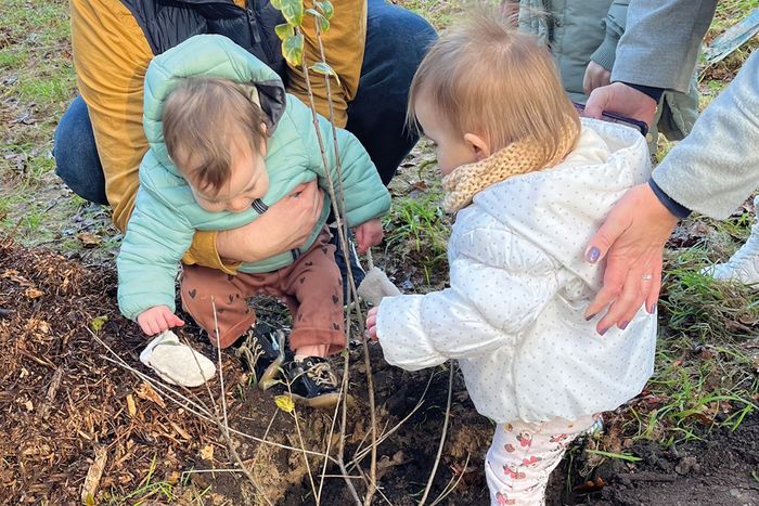 Un arbre, une naissance