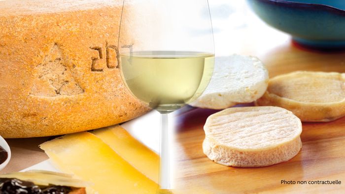 Afterwork vins du monde et fromages