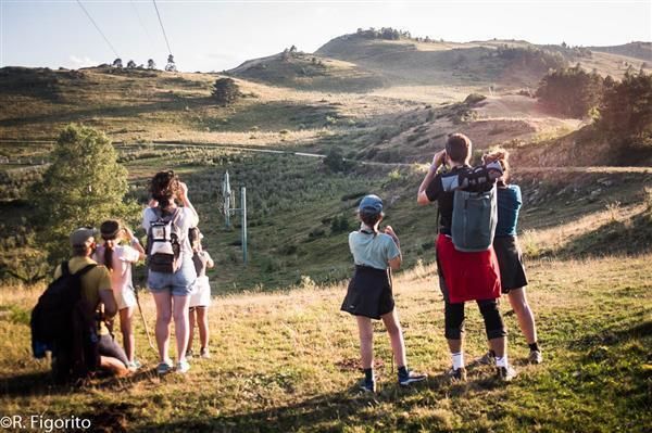Rando familiale- Observation de marmottes