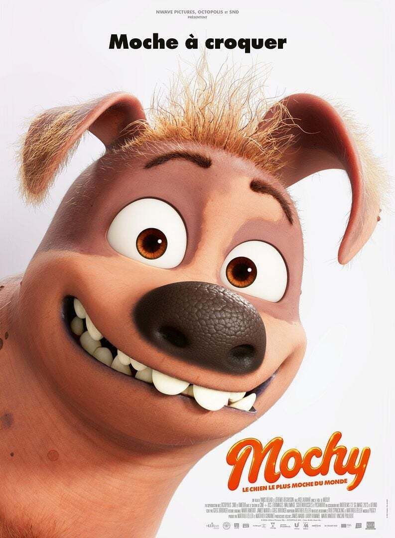 MOCHY | DÈS 5 ANS
