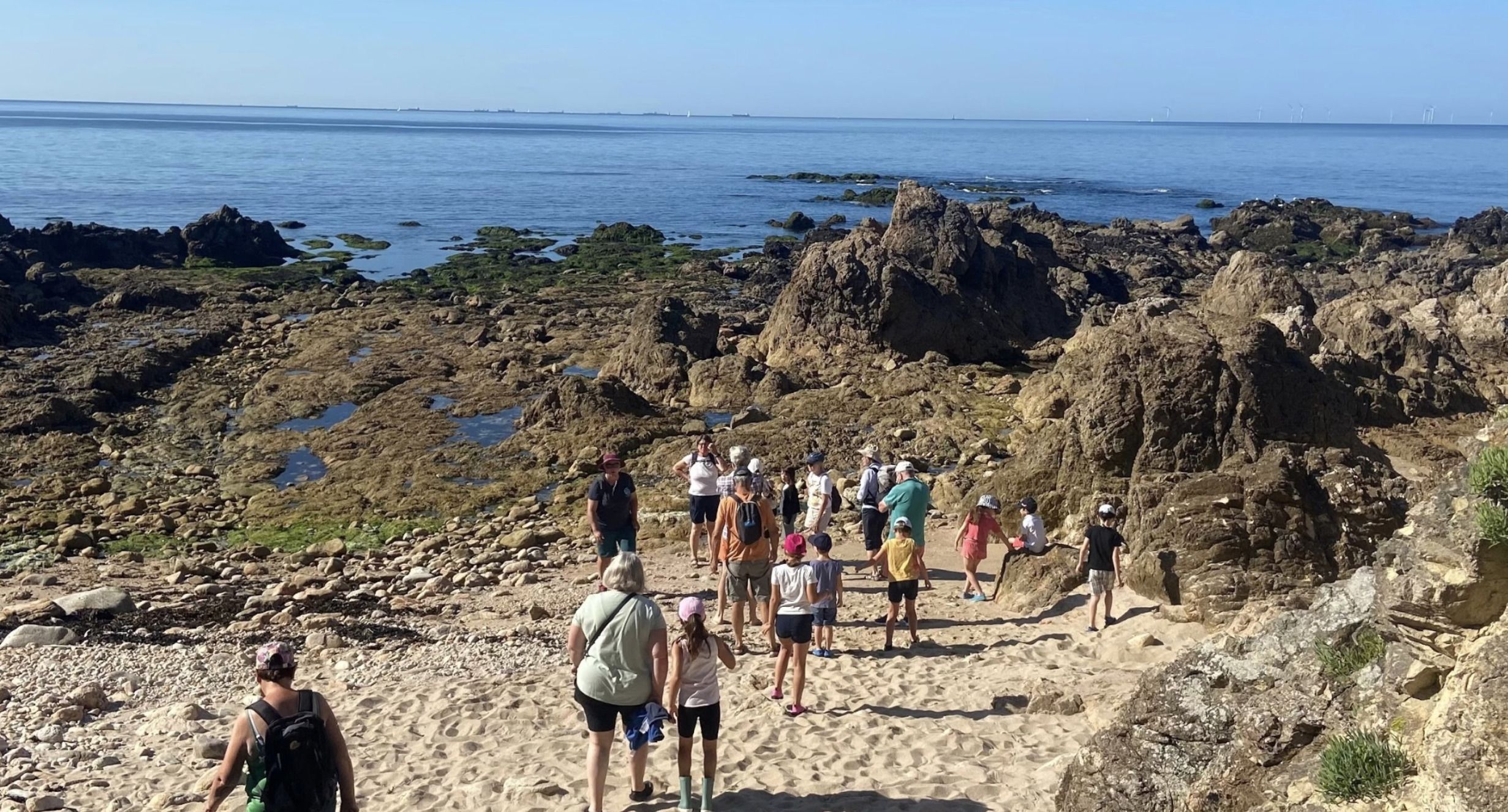 La vie à marée basse au Pouliguen