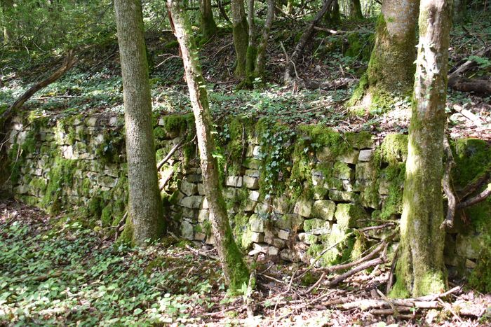 Redécouvrez les carrières de grès de Saint-Révérien !