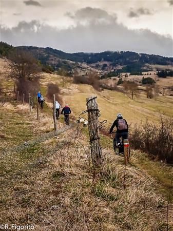 Balade familiale VTT- Sur les cimes du lac