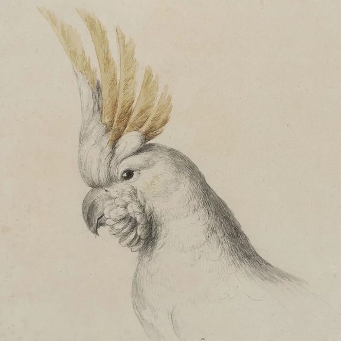 Dans le cadre de l'exposition "Animalia. Bestiaire de la Collection Al Thani".
