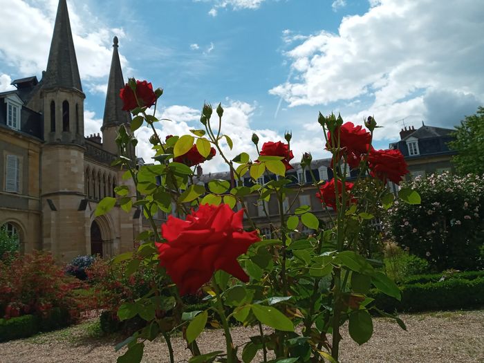Découverte des jardins de l'espace Bernadette