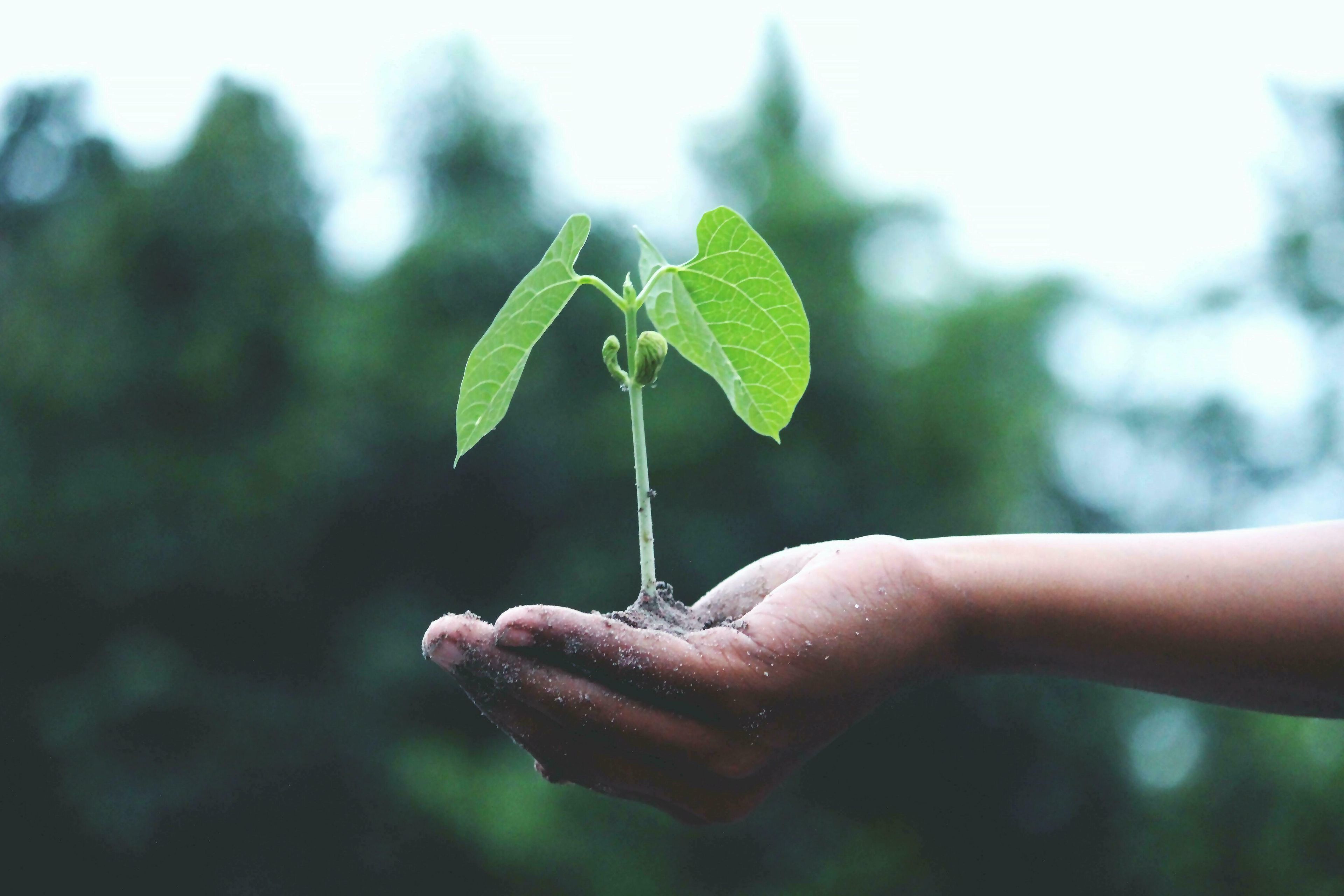 Entrepreneuriat à impact