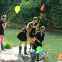 L'envolée d'été- spectacle sur l'eau