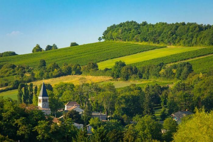 Vins de Bourgogne