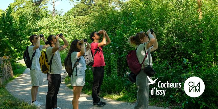 Initiation mensuelle aux balades ornithologiques en petit groupe. Débutants bienvenus.