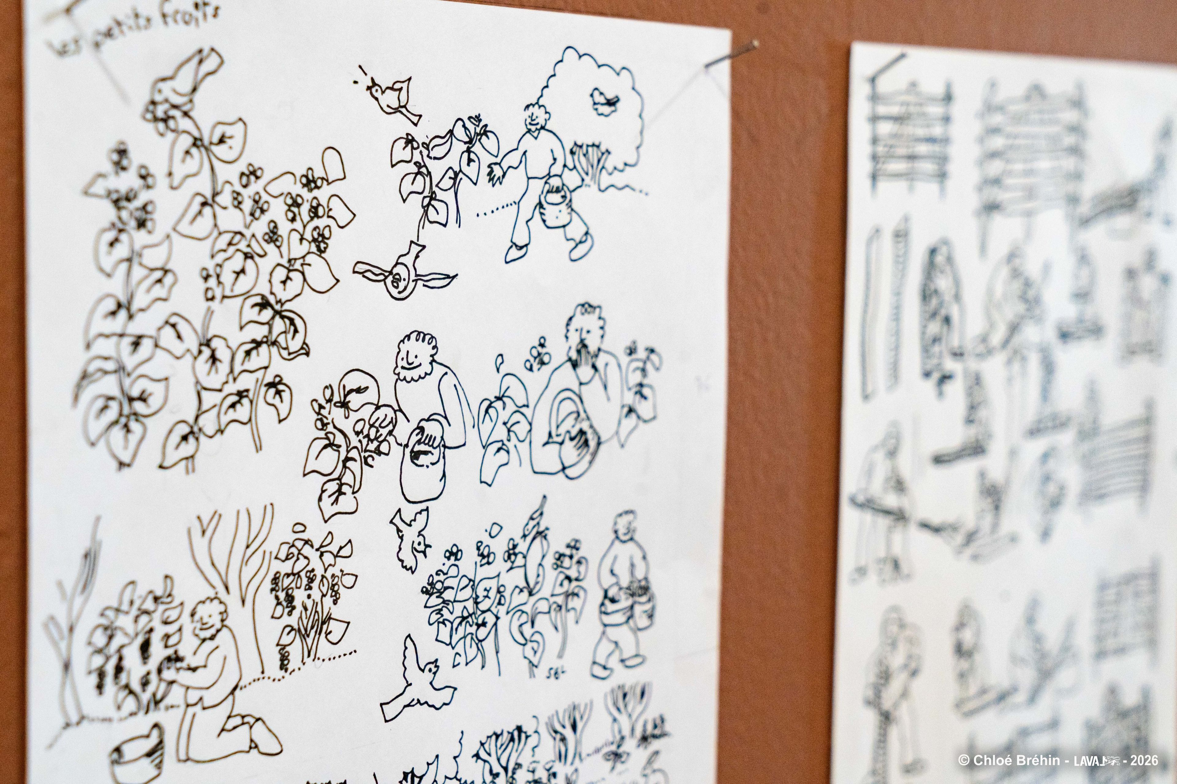 LE MANAS (MUSÉE D'ART NAÏF ET DES ARTS SINGULIERS VERS UN JARDIN D'HUMANITÉS