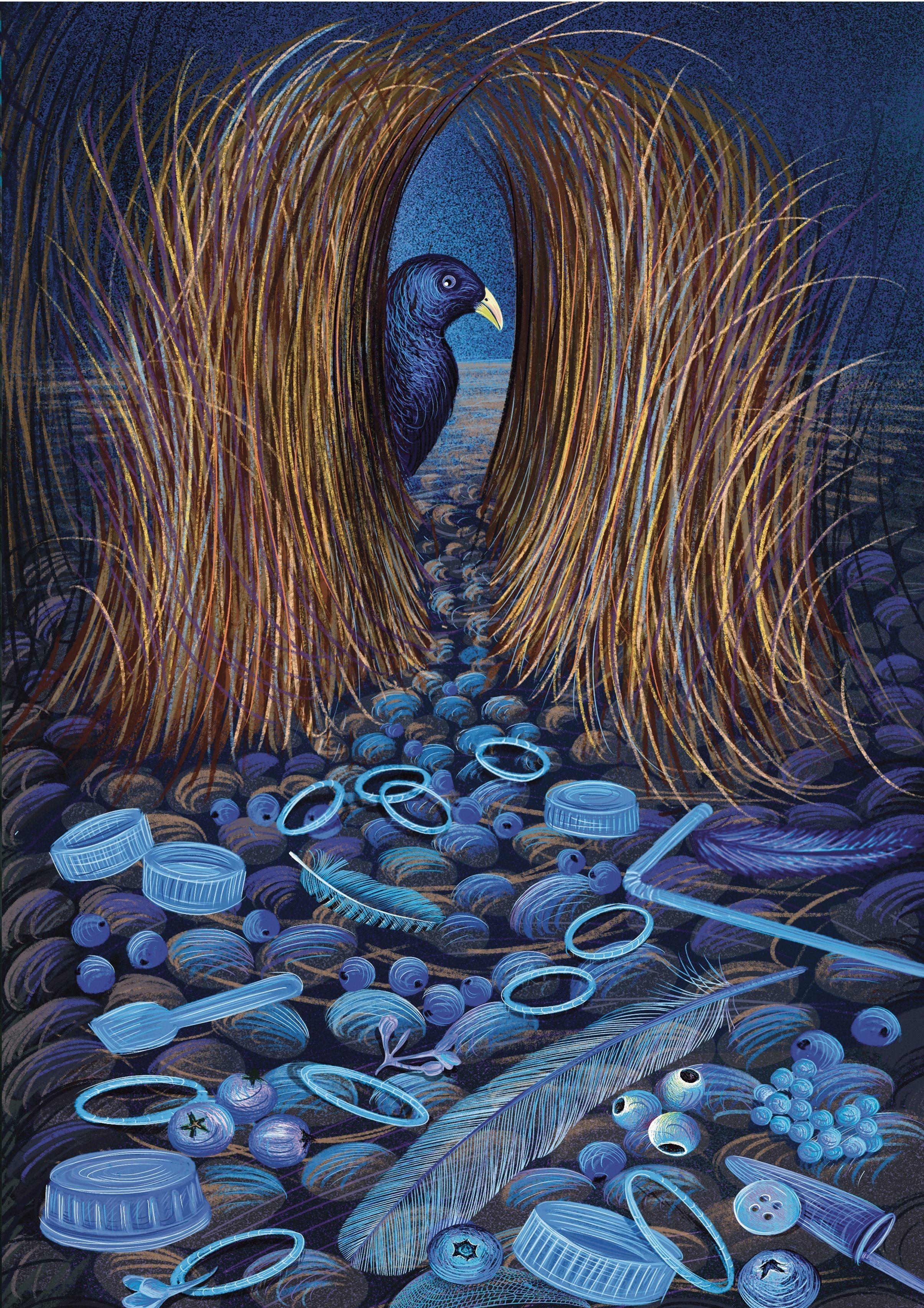 Exposition À la loupe : petites curiosités et collections d'Isabelle Simler