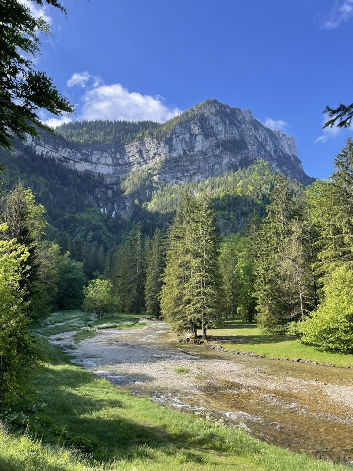 Visite sylviculture : la forêt de Chartreuse